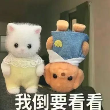 202412314515567 k1体育麻将胡了(中国集团)官方网站