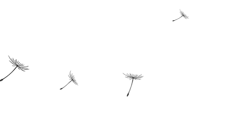 202412314599645 k1体育麻将胡了(中国集团)官方网站