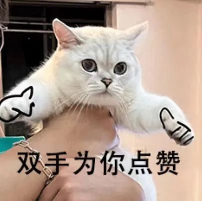 202412316522395 k1体育麻将胡了(中国集团)官方网站