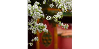 【展会资讯】k1体育麻将胡了精机5月展会一览，，，，，等您来旅行！